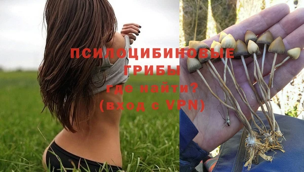 спиды Алексин