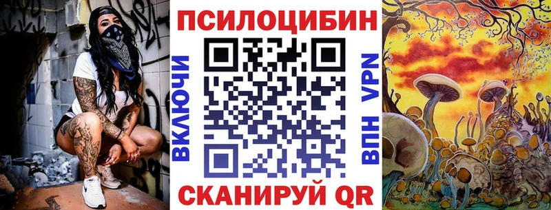 Псилоцибиновые грибы Cubensis  Камбарка 