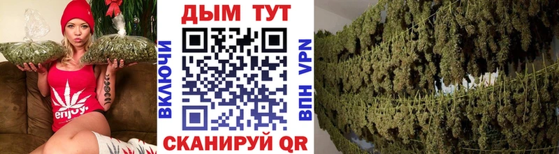 где можно купить наркотик Камбарка Шишки марихуана ГИДРОПОН